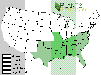 The muscadine grape (Vitis rotundifolia) is native to the southeastern U.S., including east Texas