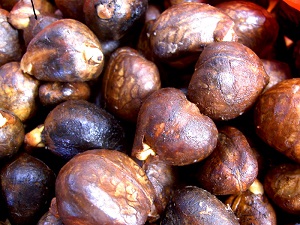 Breadfruit roasted seeds