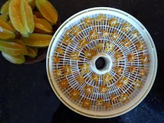 Dehydrated fruit