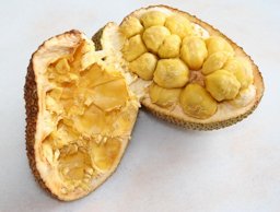 A cut-open cempedak fruit, showing the fleshy pulp inside