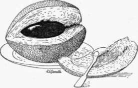 Fig. 44. The sapote (Calocarpum mammosum). (X 1/3)