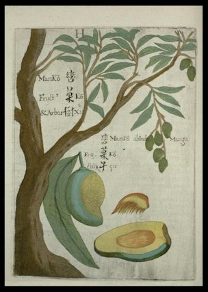 One of the earliest natural history books about China. Jesuit Missionary author.