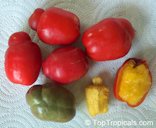 Assorted ripeness stages