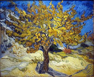 Vincent van Gogh: The Mulberry Tree