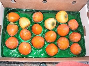 Case of Persimmons