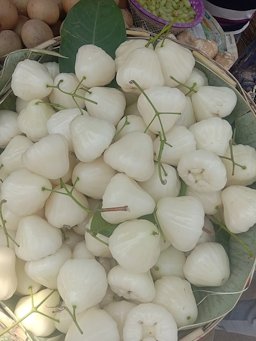 Fruits of Syzygium samarangense at a street-side shop in Jagadishpur Hat, West Bengal, India
