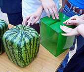 Square melon technique