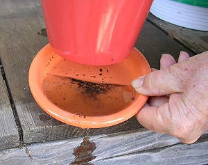 Let stand 30 min., then empty any residue water from the saucer