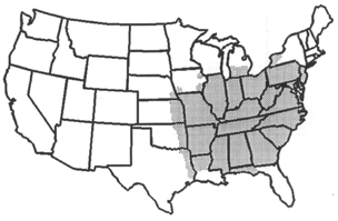 Distribution of Asimina triloba in the United States