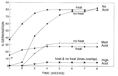 Rate of germination over time as influenced by bottom heat (27°C) and acid scarification with 36N sulfuric acid.