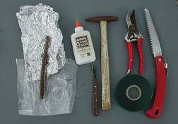Materials and tools commonly used in pecan propagation