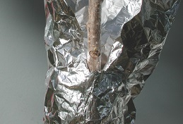 Aluminum foil in position