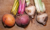 Uncommon_beetroot_colours