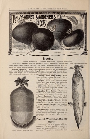 Annual catalogue of seeds and bulbs, 1896