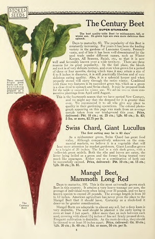 112 superb varieties for market gardeners season of 1926
