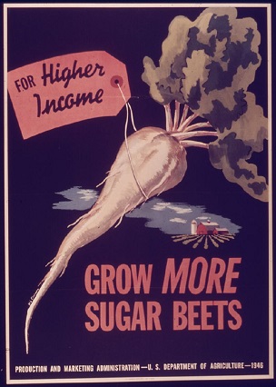 Grow More Sugar Beets poster