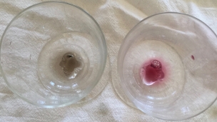 Pomegranate juice (left) turns grey when baking soda is added; beet juice (right) does not.