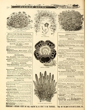 Everything for the garden : 1902