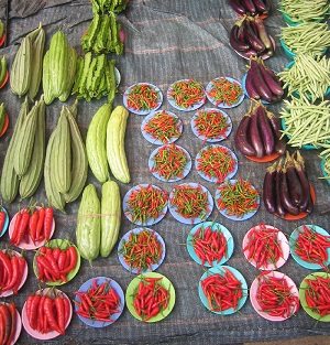 Organic vegetables at a farmers' market in Argentina