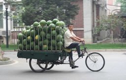 Watermelon delivery running by main street of Jiaotong Daxue campus.