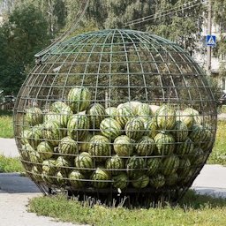 Melons in cage, Russia