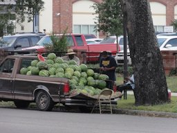 Selling watermelons out of pickup truck on Davis Parkway, Mid-City New Orleans