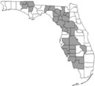 Watermelon production areas in Florida