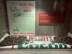 Early in the history of Hershey’s chocolate, discarded cacao pods were crushed into mulch and sold to gardeners.