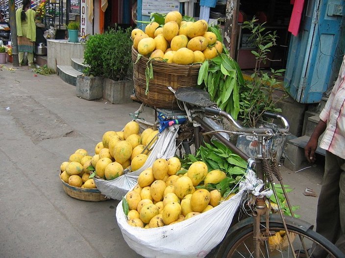 Mallika (mango) - Wikipedia