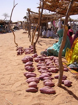 Sweet potatoes at Darfur refugee camp in Chad, 2005