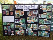 Varieties on display. Uala booth at Indigenous Crop Biodiversity Festival